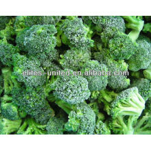 IQF frozen broccoli
